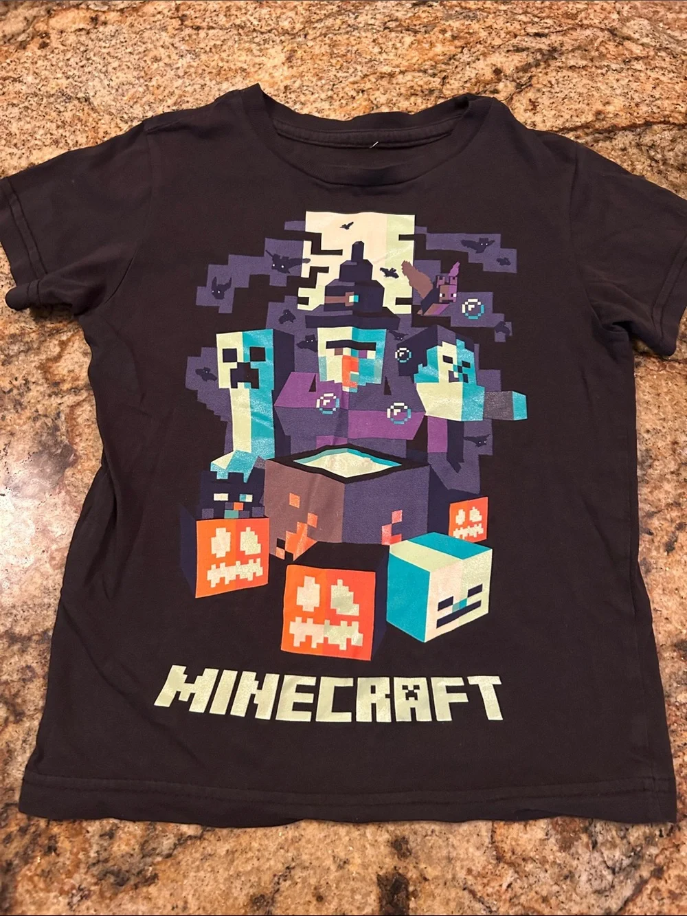 Minecraft Kids Black Graphic Tee